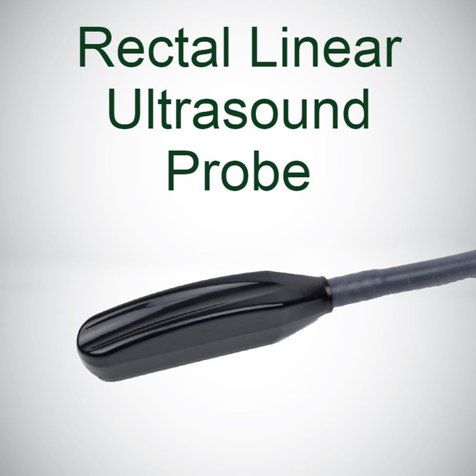 Ultrasound Probe Rack Rfa Ultrasound Probe Storage Rack