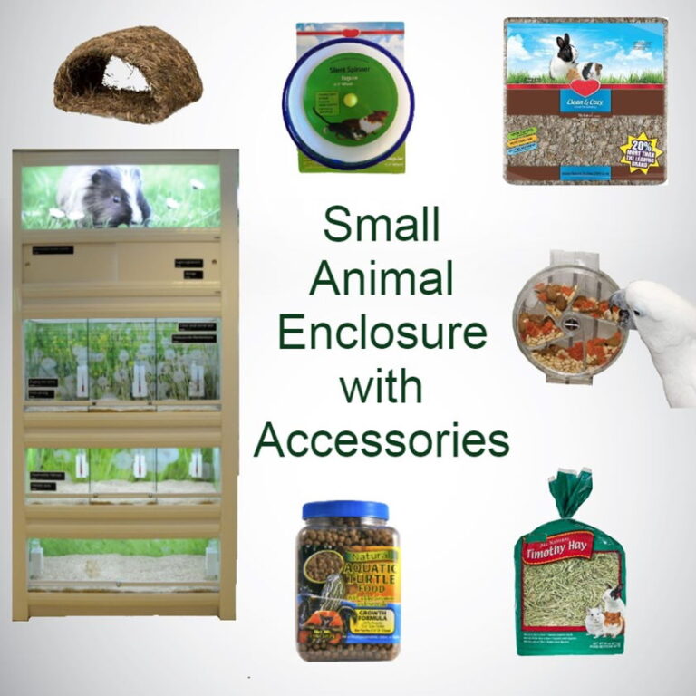 Small Animal Enclosure With Accessories Vet Tech Ag Educational