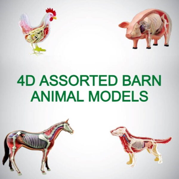 Animal Model Add on - 4D Assorted Barn Animal Models